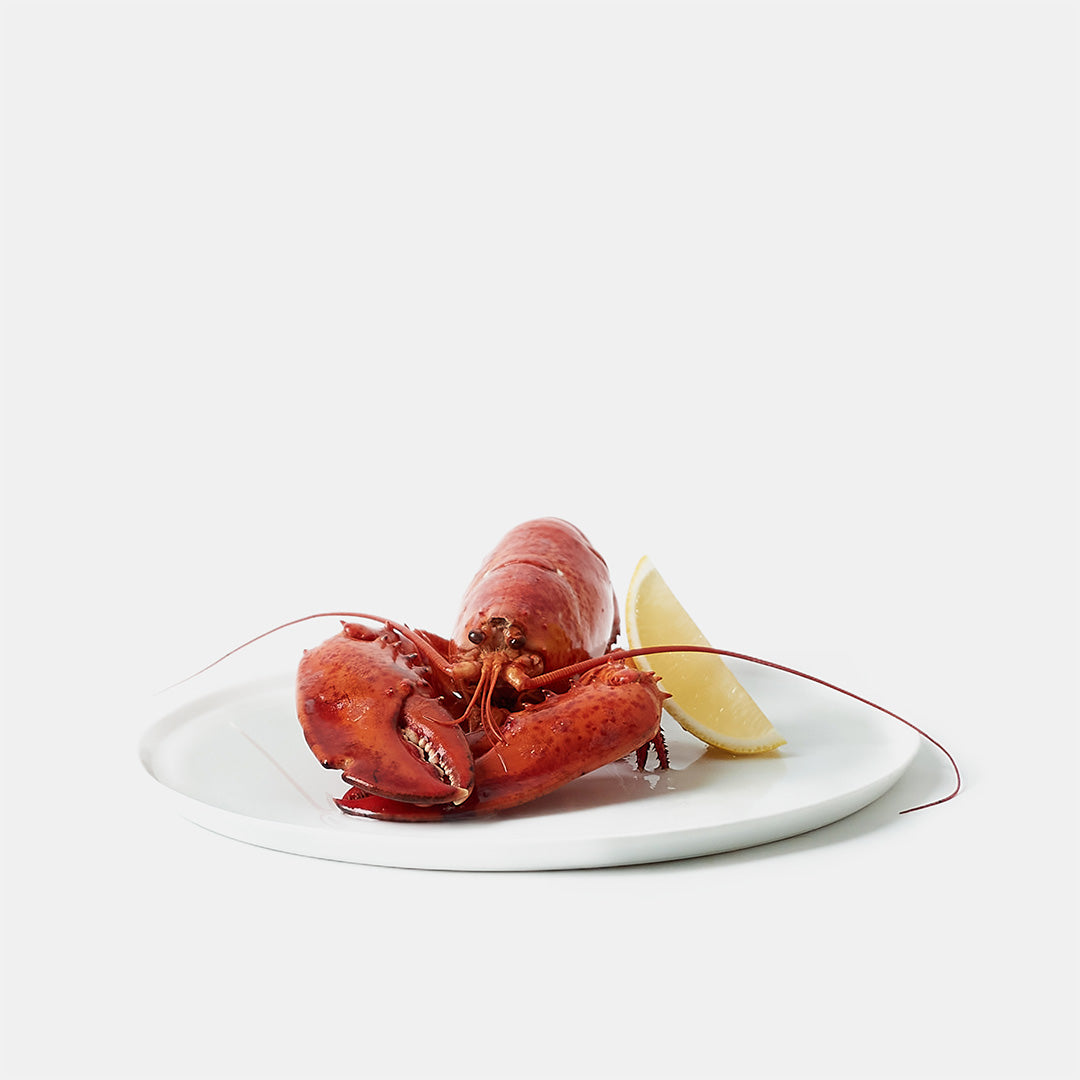Kanadensisk hummer – 550 g 🇨🇦