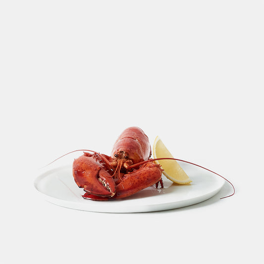 Kanadensisk hummer – 550 g 🇨🇦