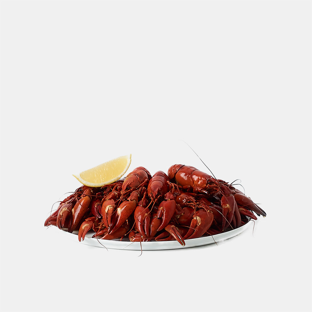 Färska signalkräftor – 1 kg 🇸🇪